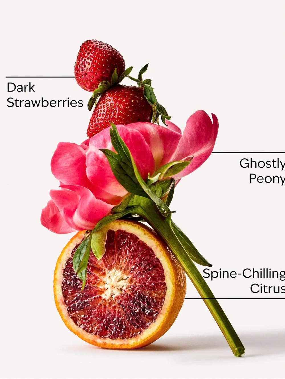NWT BBW Ghoul Friend Wallflowers Fragrance Refill 💀💕🍓